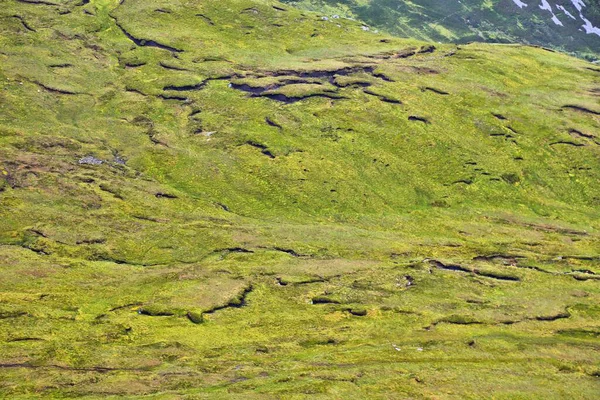Carrick 'teki turba bataklıkları, İrlanda' daki Donegal ilçesi..