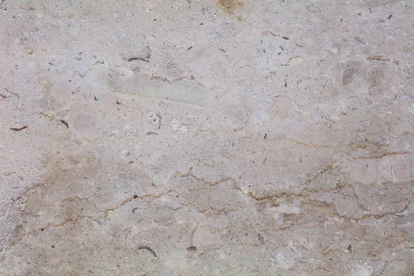 Mermer doğal taş arka plan. Fosil mermer levha yüzey arkaplanı.