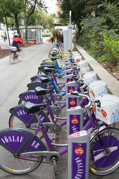 Vienna cykeluthyrning. — Stockfoto