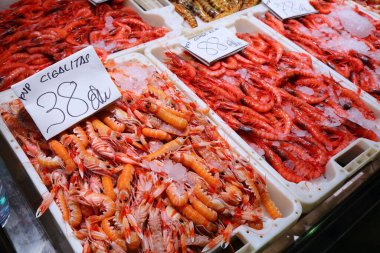 İspanya 'nın Alicante kentindeki yerel Mercat Central pazarındaki deniz ürünleri bölümünde çeşitli karides türleri (cigalitalar, langoustine, Norveç ıstakozu veya karides olarak da bilinir). İspanyol yemeği.