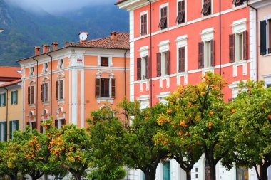 Sahip, Toskana, İtalya 'da portakal ağaçları. Sahip, Sahip ve Carrara ilinin yönetim merkezidir..