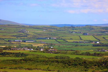 Kuzey İrlanda, Antrim County 'deki kırsal manzara. Kuzey İrlanda 'nın yaz tarım manzarası.