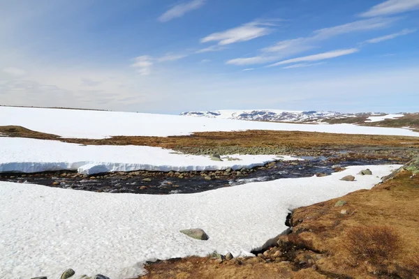 Hardangervidda, Norway landscape — Stock fotografie