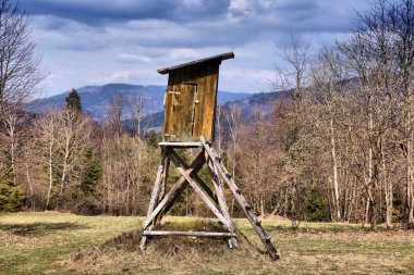 Polonya 'daki Zywiec Beskids (Beskid Zywiecki) dağlarındaki bir orman açıklığında avcılık kürsüsü. Silezya bölgesi doğası.
