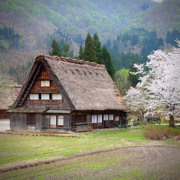 Arquitetura da aldeia de Shirakawa — Fotografia de Stock