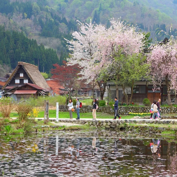 Shirakawa-go Japan village — стокове фото