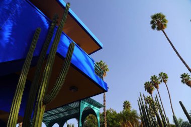 Marakeş, Fas 'taki Majorelle Bahçeleri (Le Jardin Majorelle).
