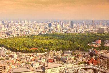 Tokyo sunset skyline