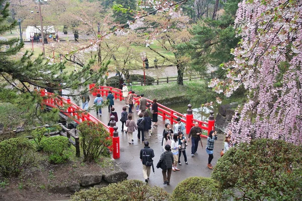 Hirosaki κεράσι ανθίσει — Φωτογραφία Αρχείου