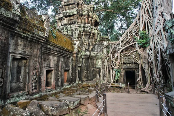 Kambodja djungel tempel — Stockfoto