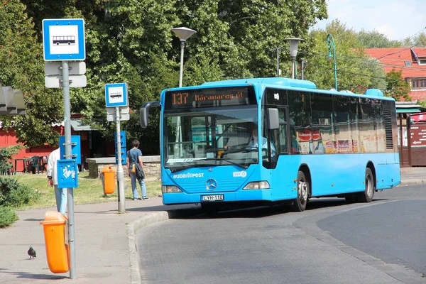 BUDAPEST, HUNGARY - 21 Haziran 2014: Budapeşte, Macaristan 'da mavi şehir otobüsü. BKK toplu taşıma sisteminin bir parçası..