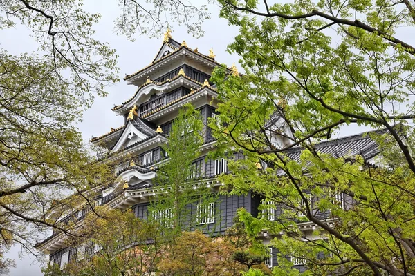 Okayama, Japão - vista para o castelo — Fotografia de Stock