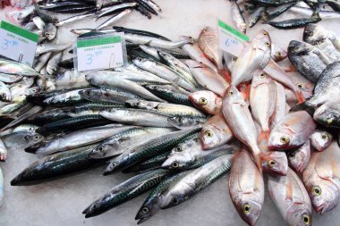 Barcelona Balık pazarı