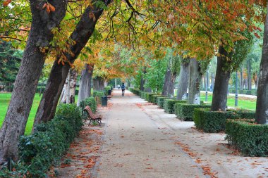 Retiro Park, Madrid