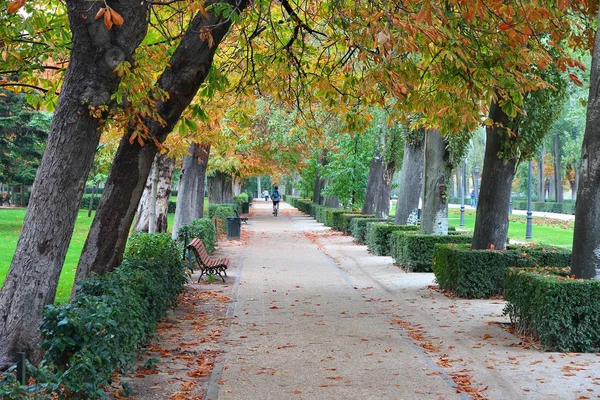 Retiro Park, Madrid — Stock Photo, Image