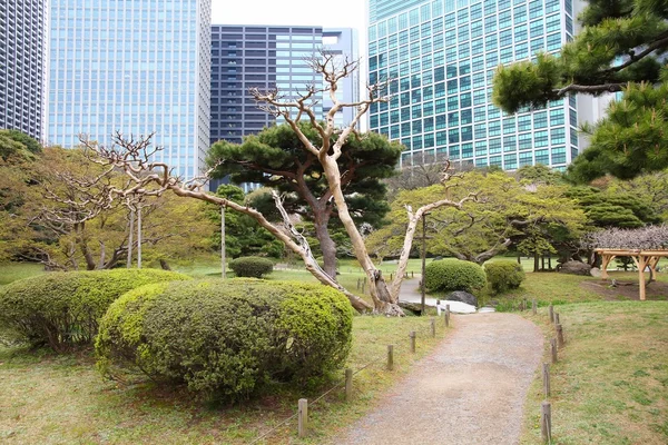 Jardin de Hama Rikyu — Photo
