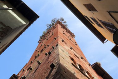 lucca Guinigi Kulesi