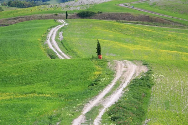 Val D'Orcia, Τοσκάνη — Φωτογραφία Αρχείου