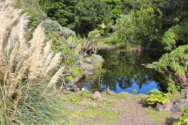 Garten auf Gran Canaria — Stockfoto