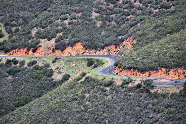 Camino plano de roble grande — Foto de Stock