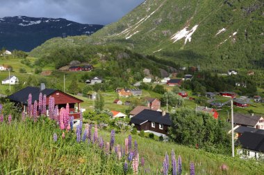 Roldal Köyü, Norveç