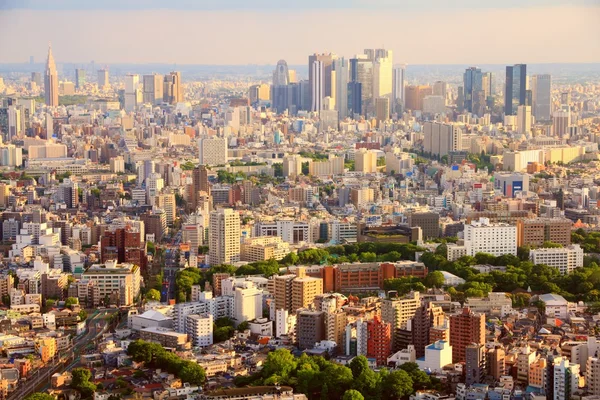 Tokyo, Japan - sunset skyline — Stock Photo, Image