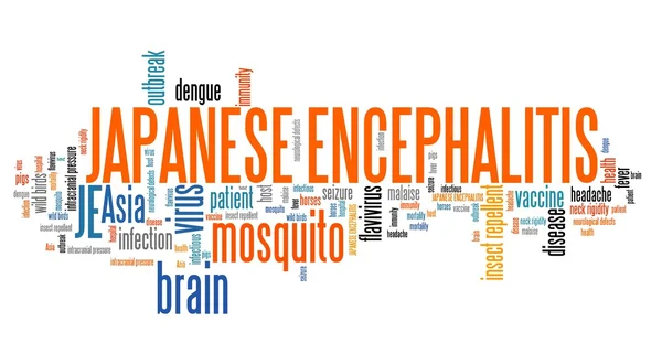 Japanese encephalitis word cloud — Stockfoto