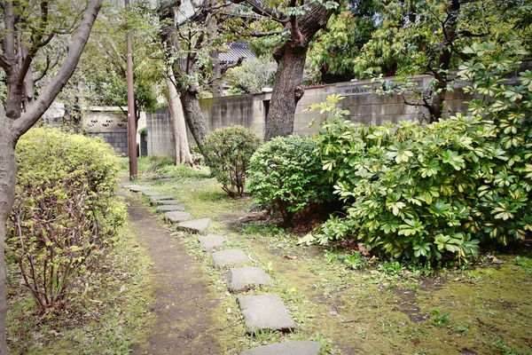 Tokyo park - Sumida — ストック写真