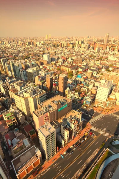 Tokyo sunset aerial view