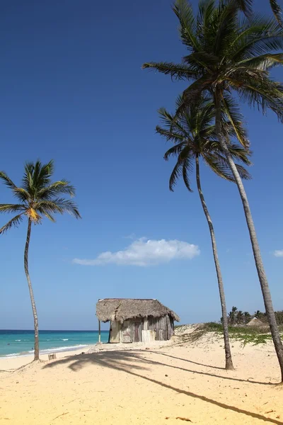 Caribbean beach in Cuba — Stock Photo, Image