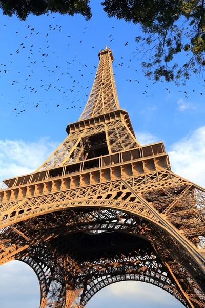 Eiffel Tower sunset — Stock Photo, Image