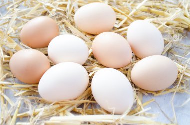 bir saman üzerinde kahverengi ve beyaz yumurta