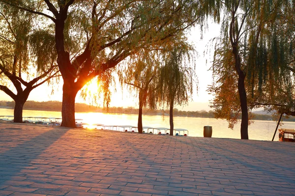 Gouden zonsondergang lake schijnt van de bossen in de herfst seizoen — Stockfoto