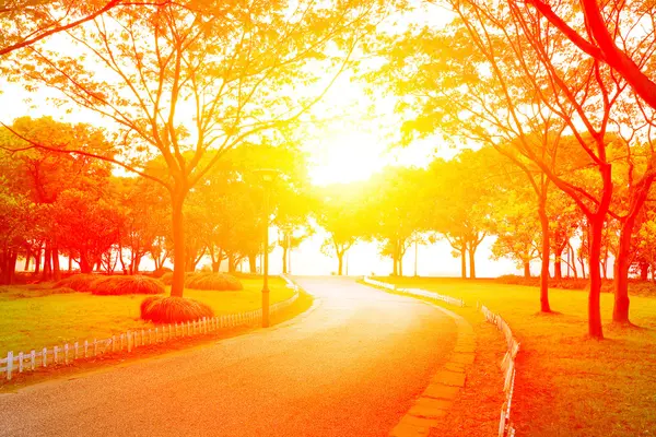 Park Wald Kurve Straße im Sonnenuntergang — Stockfoto