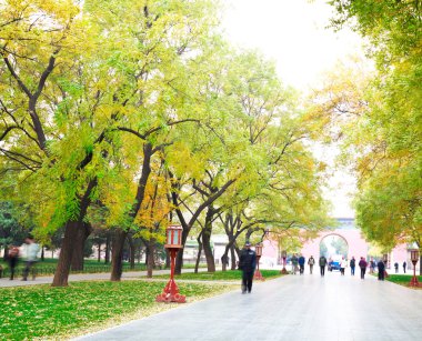 Park Bulvarı temiz havada