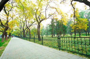 Park Bulvarı temiz havada