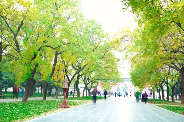 Park in de frisse lucht van de Boulevard — Stockfoto