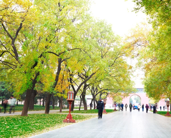 Park in the fresh air of the Boulevard — Stock Photo, Image