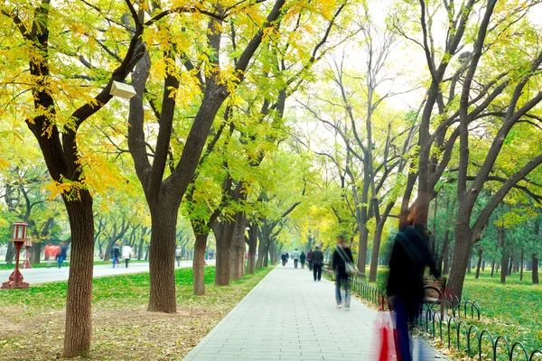 Park an der frischen Luft des Boulevards — Stockfoto