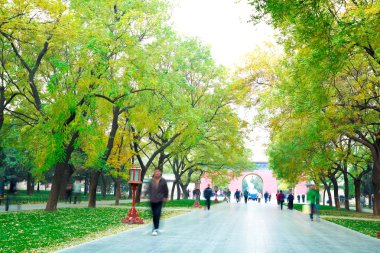 Park Bulvarı temiz havada