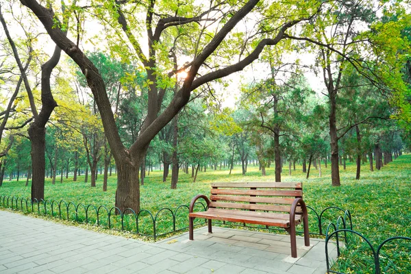 Der Parkboulevard Stuhl — Stockfoto