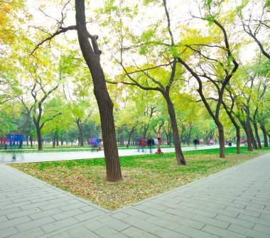 Park Bulvarı temiz havada