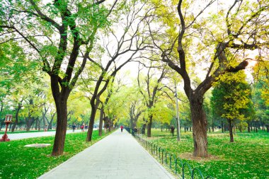 Park Bulvarı temiz hava