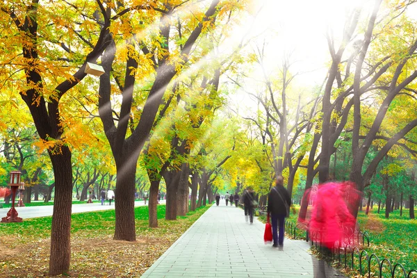 Park in de frisse lucht van de Boulevard — Stockfoto