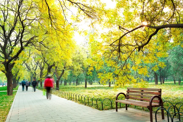 Park in de frisse lucht van de Boulevard en de stoel — Stockfoto