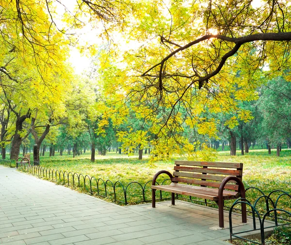 Park an der frischen Luft des Boulevards und Stuhl — Stockfoto