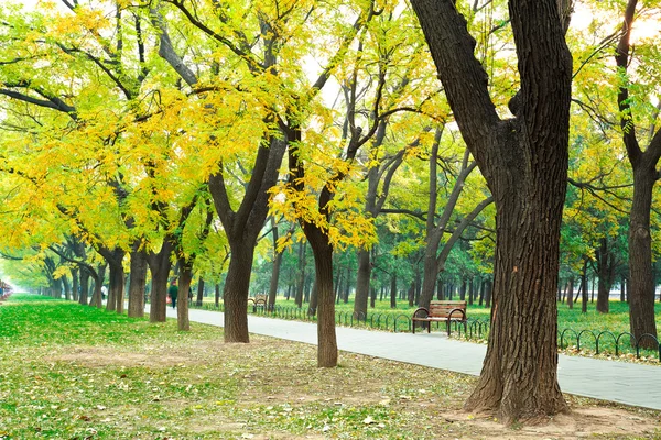 Parque al aire libre del Boulevard Fotos De Stock Sin Royalties Gratis