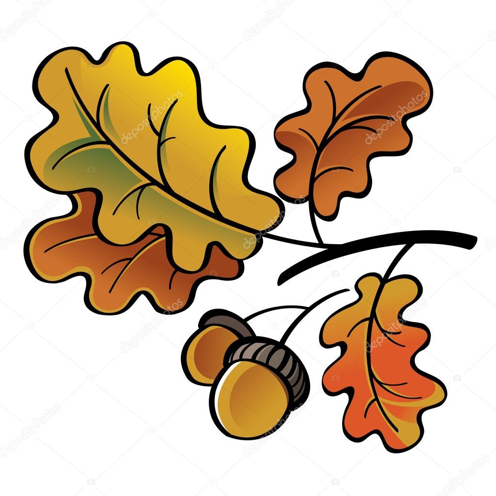 acorns and leaves clip art