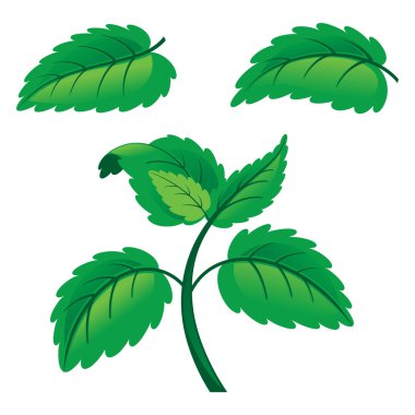 Yeşil Yaz yaprakları