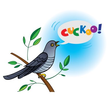 Common Cuckoo bird clipart